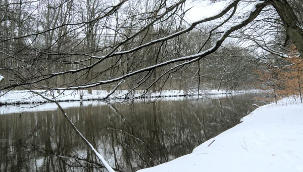 Die Pleiße im Leipziger Auwald am 7. Februar