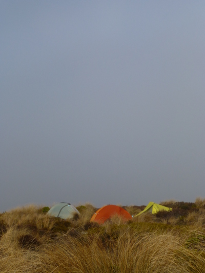Morgennebel