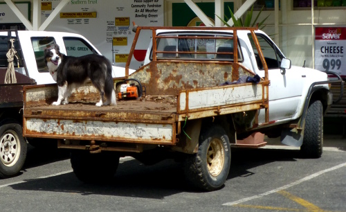 Standard-Ausrüstung: Top gepflegtes Auto, aggressiver Jagdhund, Kettensäge.