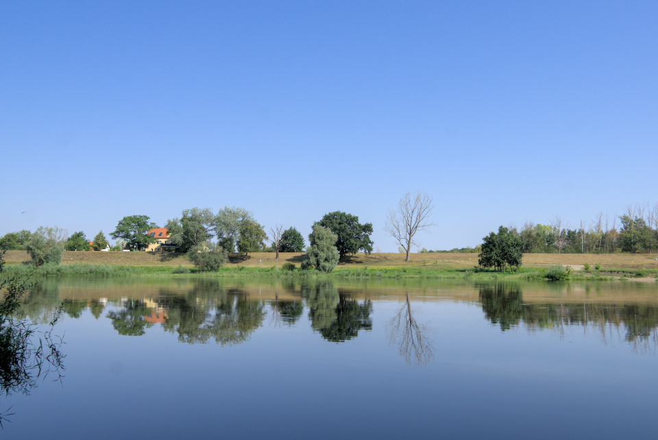 Elbe kurz vor Riesa