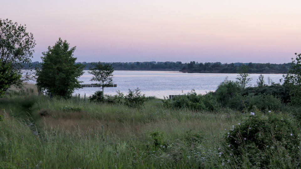 Junibild Abendstimmung am Werbeliner See
