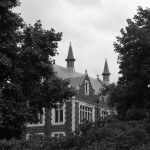 Oh, da schaut was durch das Campusgrün ...
