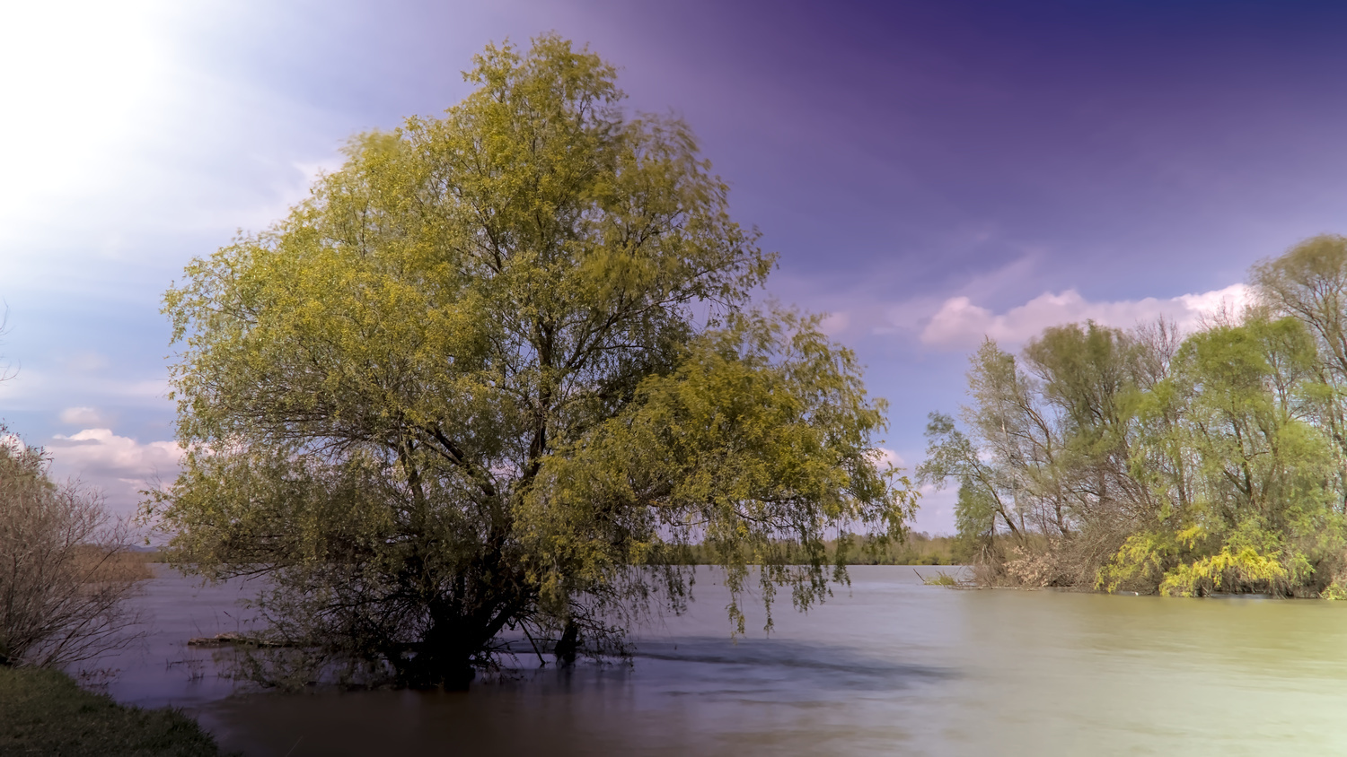 Im Donaudelta