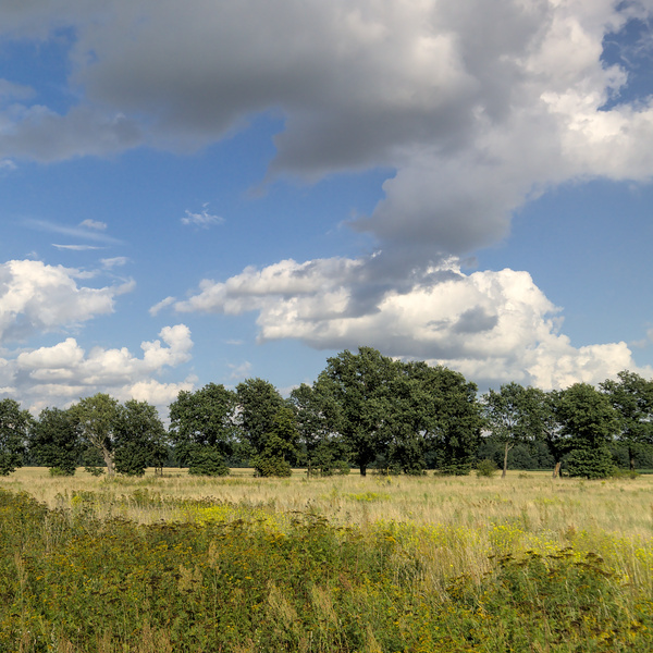Die ersten Kilometer
