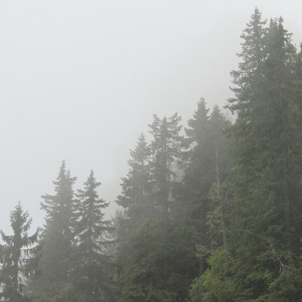 Eine Herbstwanderung in die Wolken